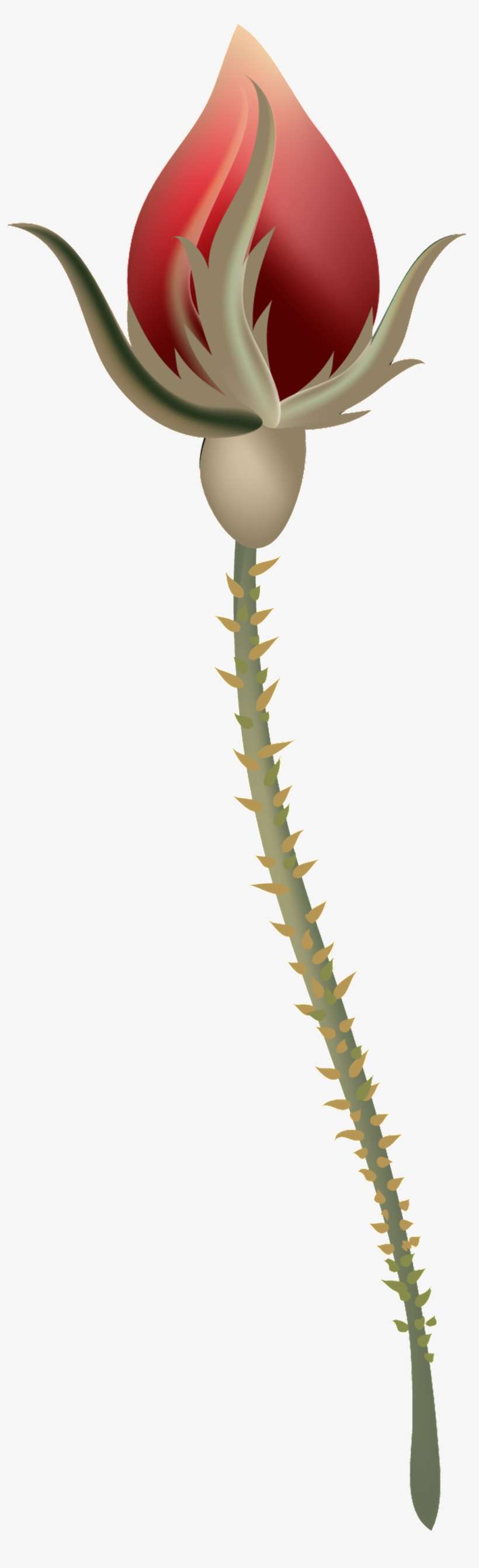 Fire Red Flower Branch Transparent Decorative - Portable Network Graphics, transparent png download