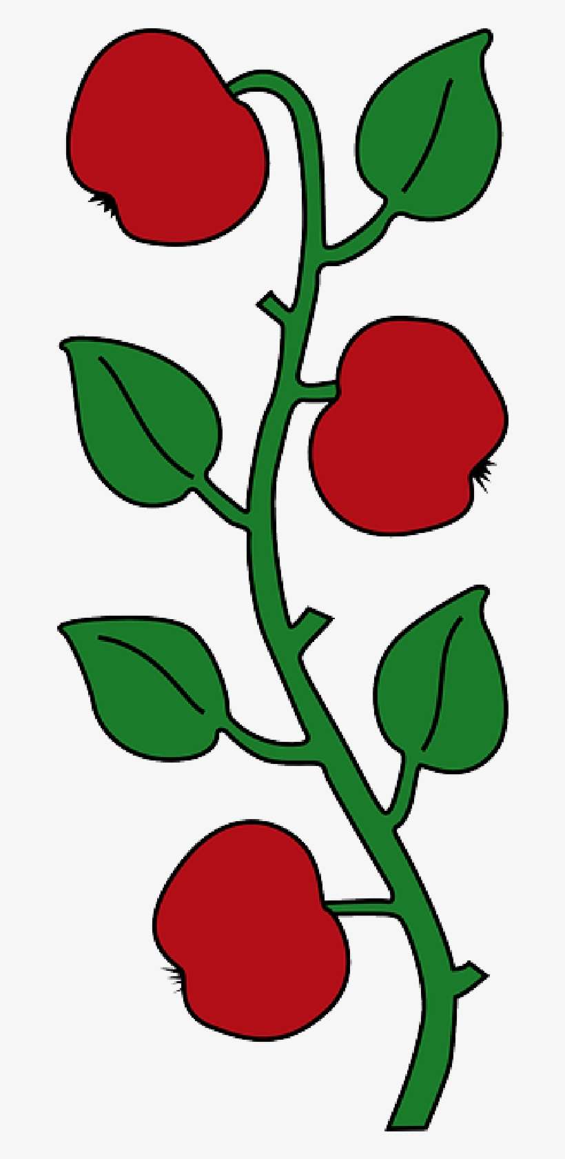 Mb Image/png - Affoltern Am Albis, transparent png download