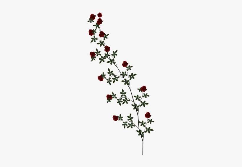 Rose Vine Png Clipart Rose Vine Png PNG Image Transparent PNG Free
