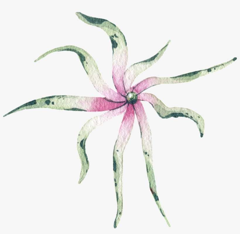 Green Watercolor Hand Painted Plant Transparent - Design, transparent png download