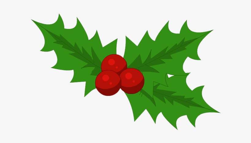 Holly - Belga Cycling, transparent png download