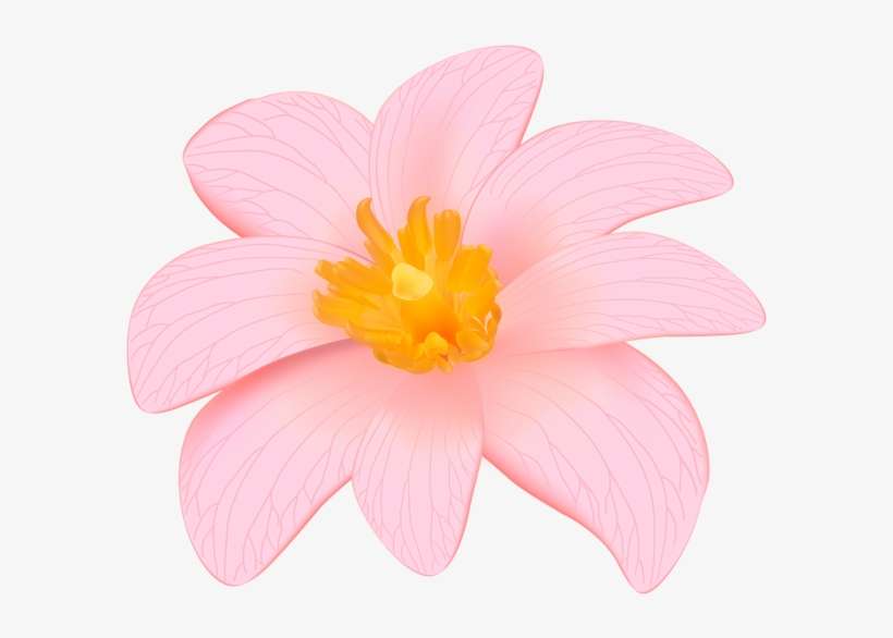 Exotic Pink Flower Clip Art Png Image Flower Designes - Flowers Png Pink, transparent png download