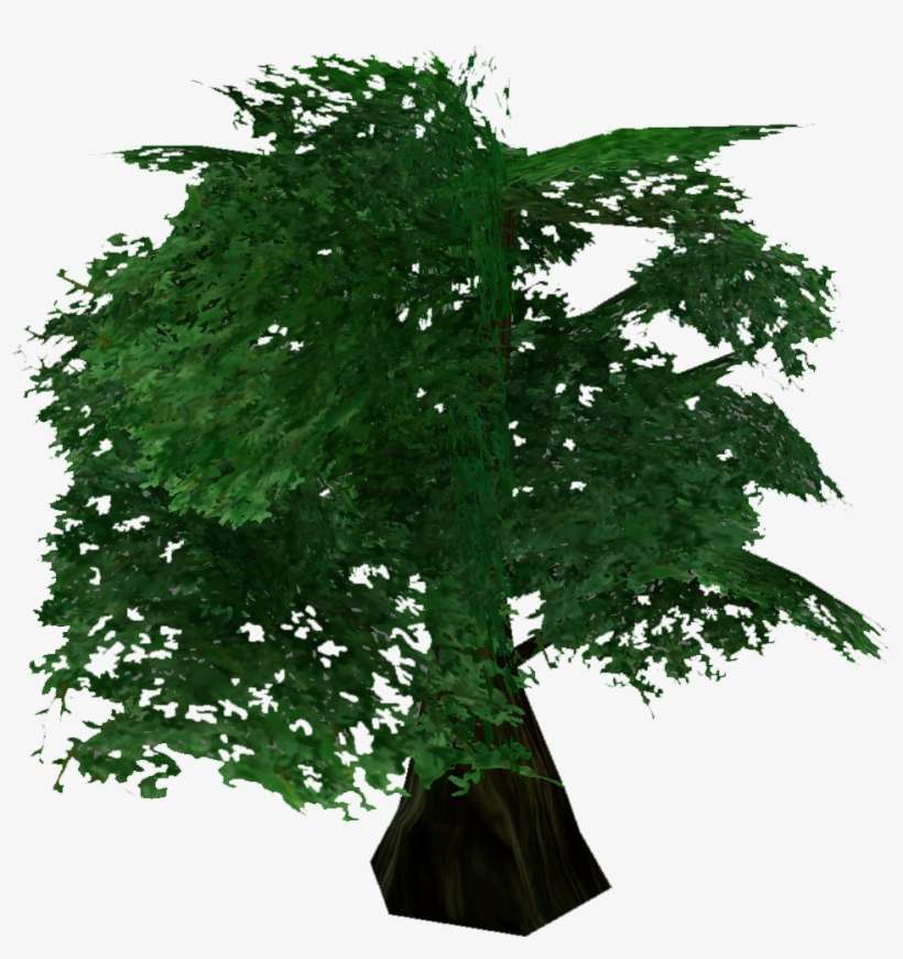 Generic Tree - New Mexico Maple, transparent png download