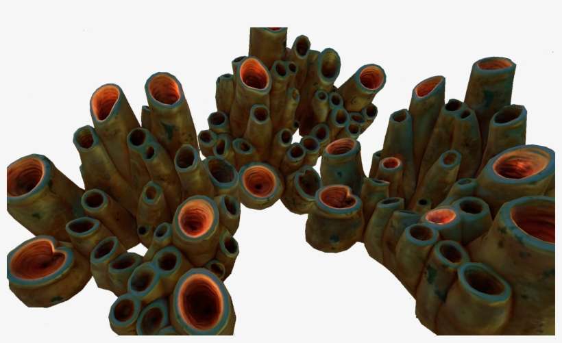 Brown Coral Tubes Fauna - Coral Png, transparent png download