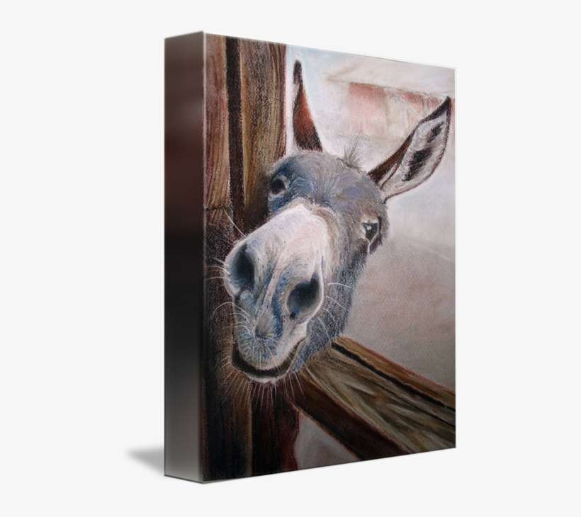 "how Do You Do" By Olga Gorbacheva, Nizhny Novgorod, - Donkey Saying Good Night, transparent png download