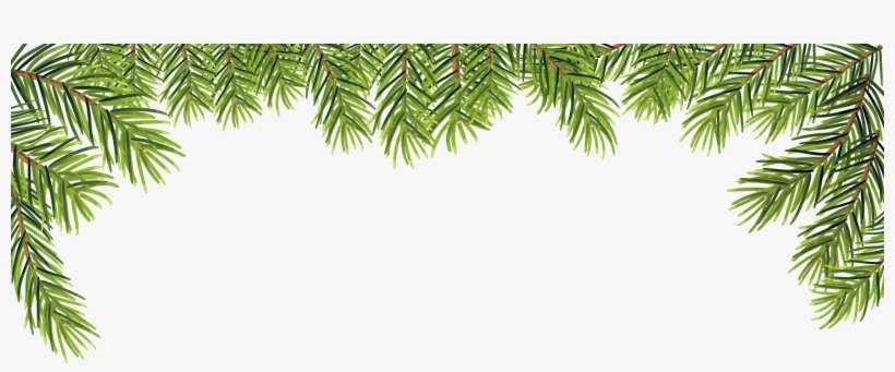 Pine Watercolor Png - Leaf Frame Vector Png, transparent png download