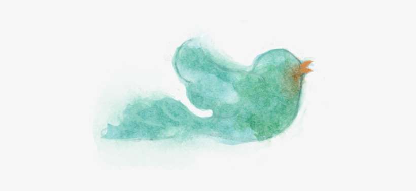 How Roger Williams Saved America's Soul - Twitter, transparent png download