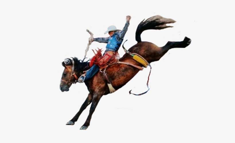 Cowboy Png - Horse And Cowboy Png PNG Image | Transparent PNG Free
