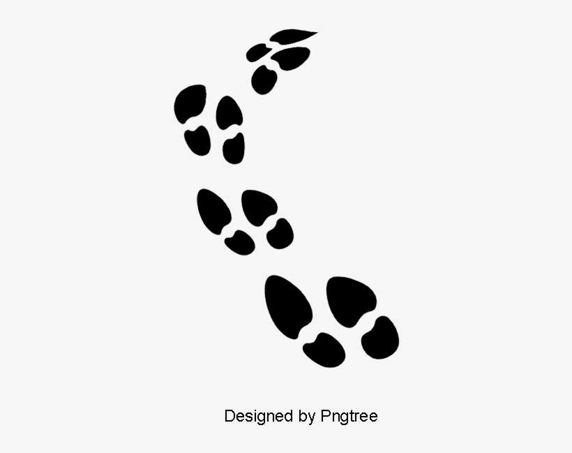 Black Footprints Vector Material, Black Vector, Footprints - Portable Network Graphics, transparent png download