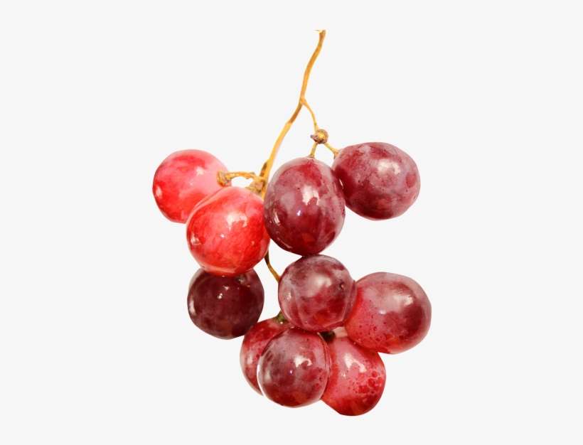 Download Red Grapes Png Image - Red Grapes Png, transparent png download