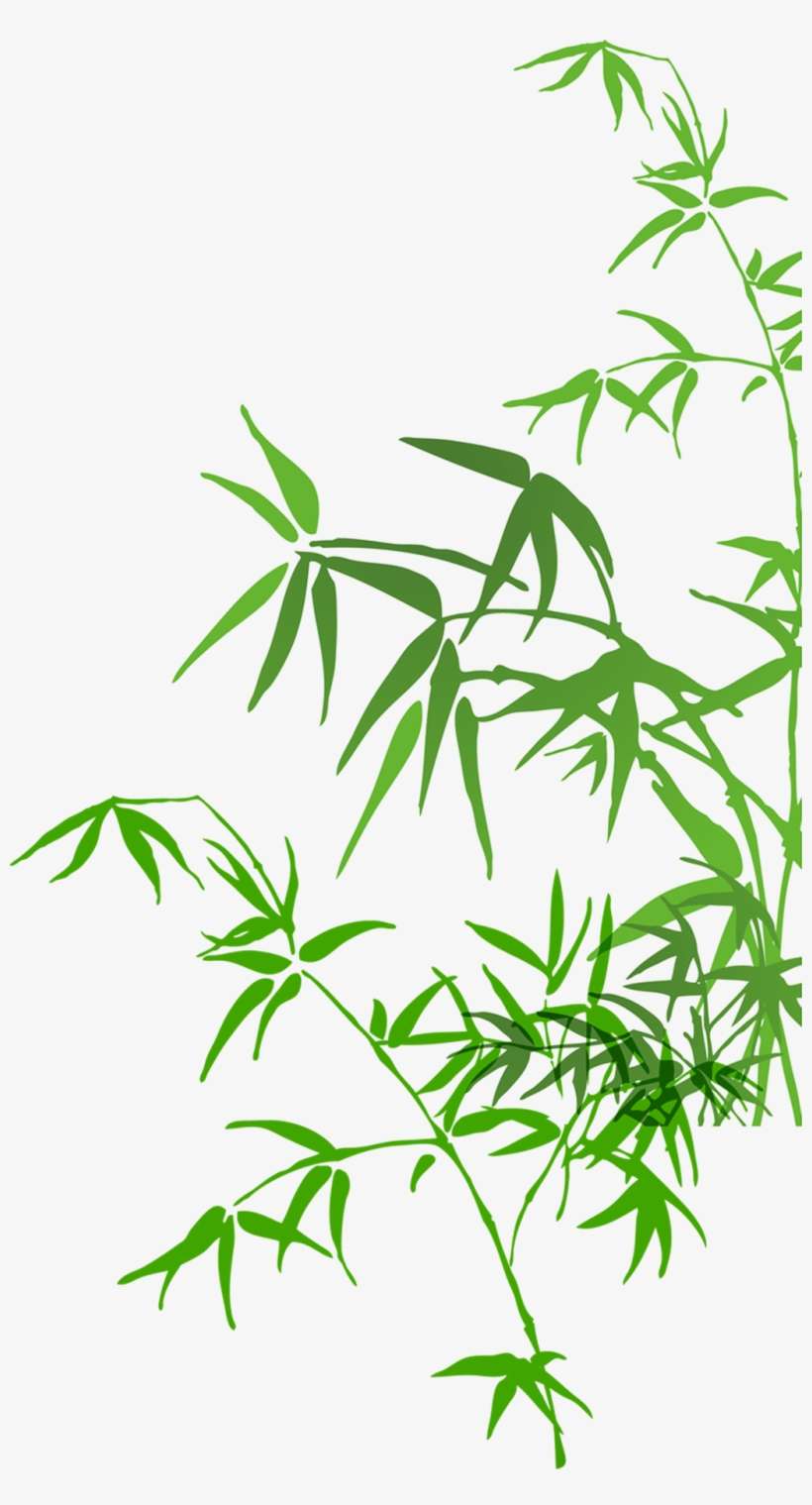 Report Abuse - Bamboo Watercolor Painting Png, transparent png download