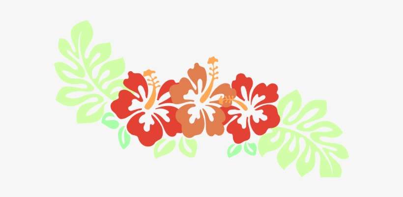 Small - Hibiscus Clipart Png, transparent png download