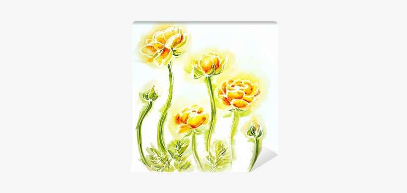 Painted Watercolor Card With Globe-flowers Wall Mural - Watercolor Painting, transparent png download