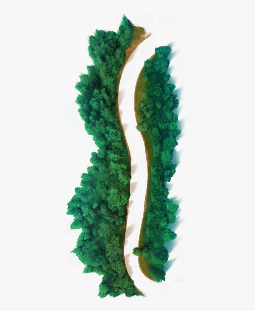 Forest Path Front - Mini-z, transparent png download