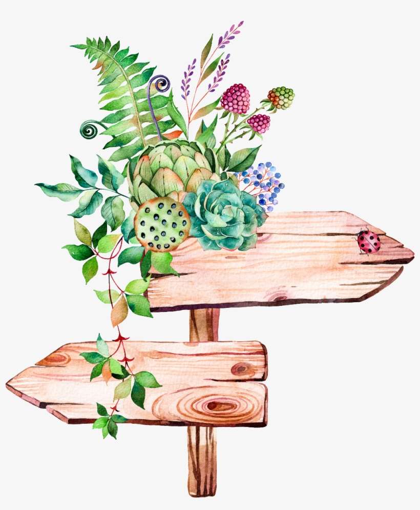 Leaves Leave Nature Watercolors Watercolor Watercolours - Watercolor Succulent Succulent Png, transparent png download