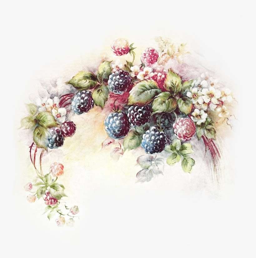 Find This Pin And More On Cores E Flores By Tcalto - Blackberries Painting, transparent png download