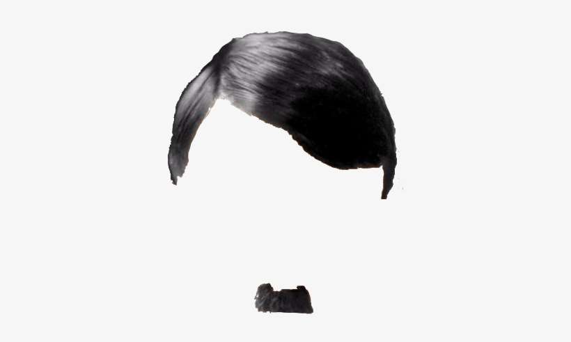 Download Hitler Hair Png | Transparent PNG Download | SeekPNG