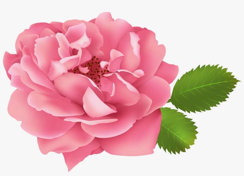 Clip Art, transparent png download