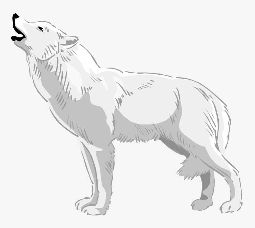 Graphic Free Free Wolf White - Clip Art White Wolf, transparent png download