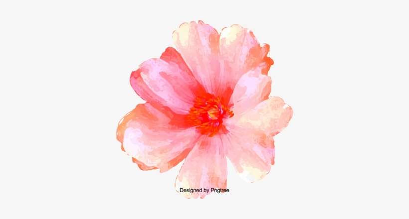 Cartoon Beautiful Hand Painted Water Color Flowers, - Water, transparent png download