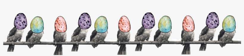 By Bernd Brunner - Egg, transparent png download