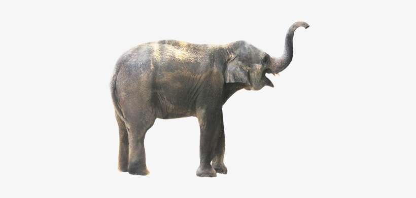 Free Icons Png - Portable Network Graphics, transparent png download