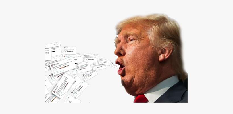 Trump - Donald Trump, transparent png download