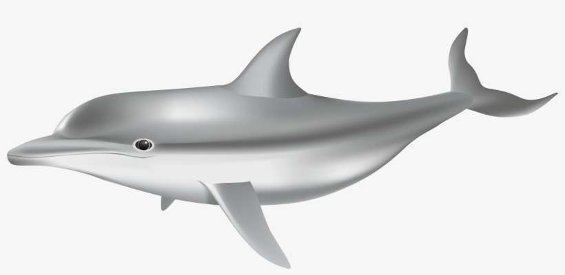 Clip Art, transparent png download