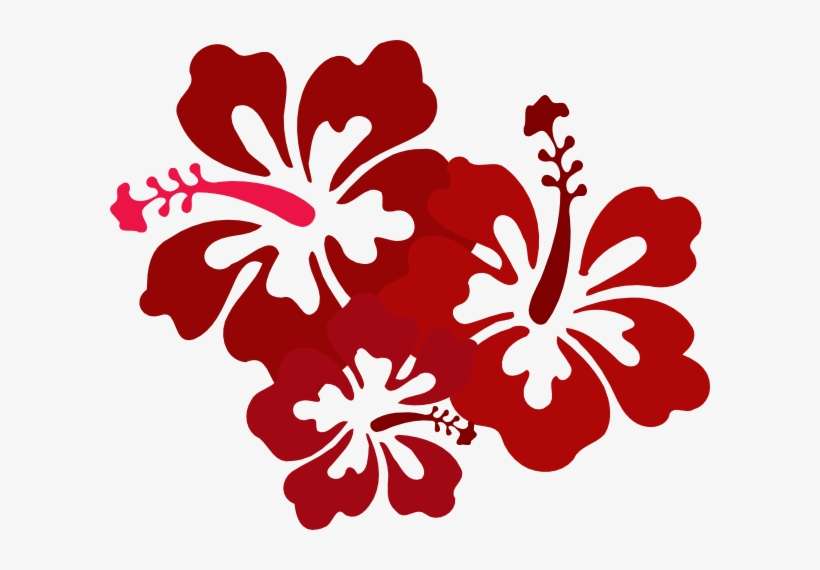 Hibiscus Png Pic - Hibiscus Clip Art, transparent png download
