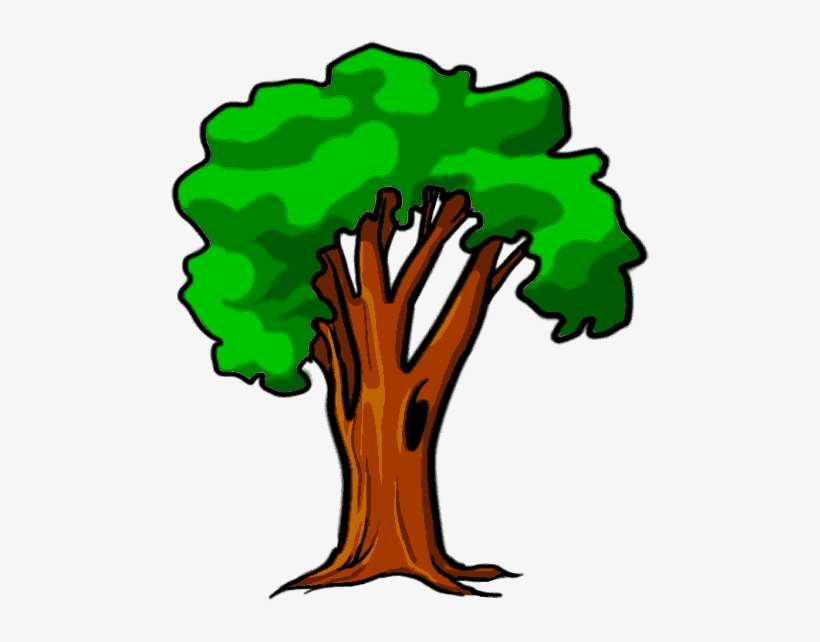 Miss Wrights Wiki - Tree In Cartoon Png, transparent png download