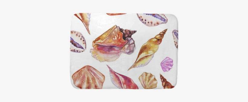 Shells On The Bottom Of The Sea - Watercolor Painting, transparent png download