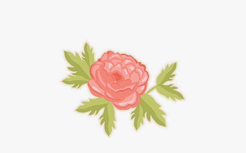 Peony - Peony Flower Clip Art, transparent png download