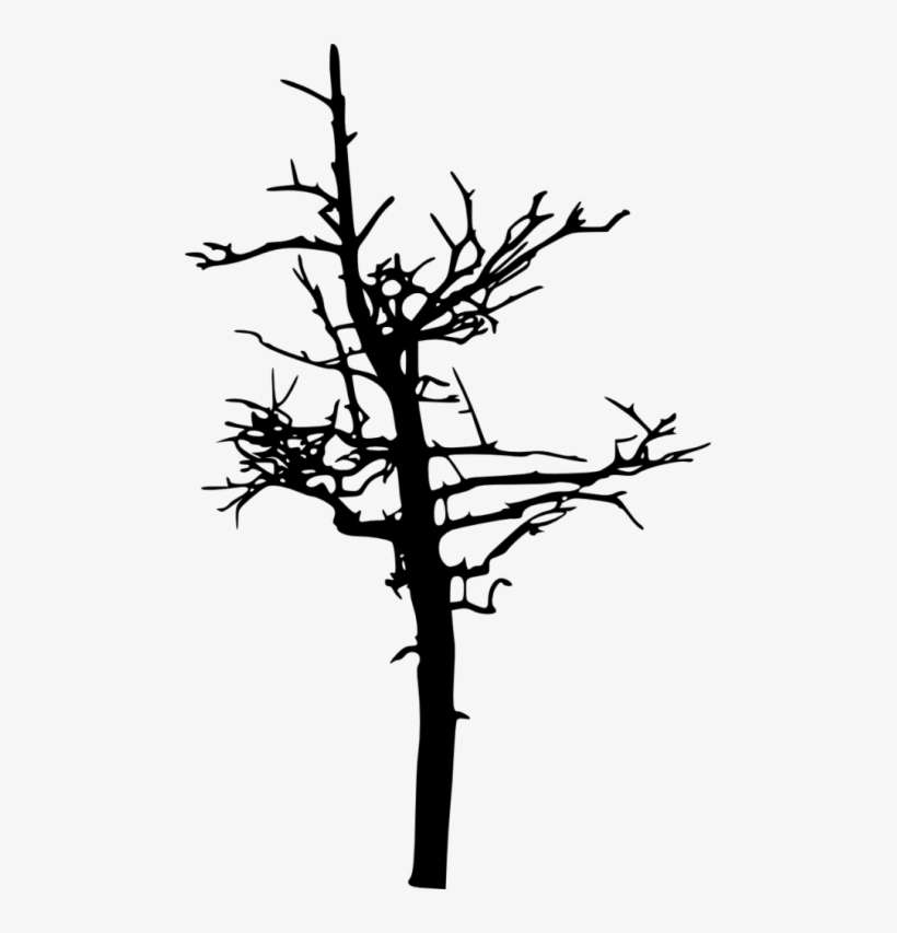Free Png Dead Tree Silhouette Png Images Transparent - Portable Network Graphics, transparent png download