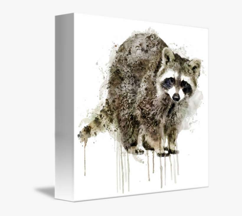 "raccoon" By Marian Voicu, Bucharest // Watercolor - Watercolor Painting, transparent png download