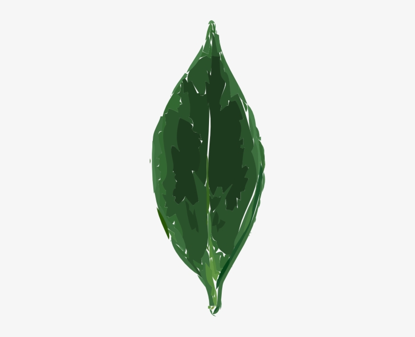 Banner Free Stock Leaf Clip Art At Clker Com Vector - Tea Leaf Clip Art, transparent png download