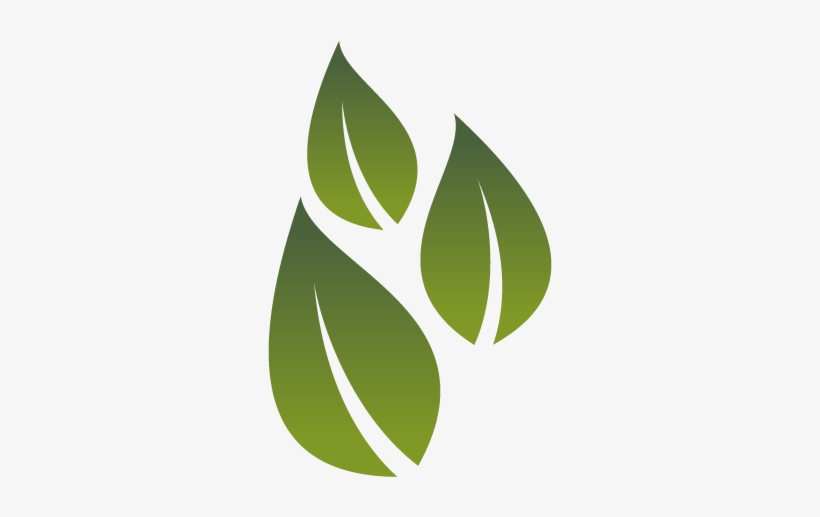 Tea, The Most Fashionable Tradition - Tea, transparent png download