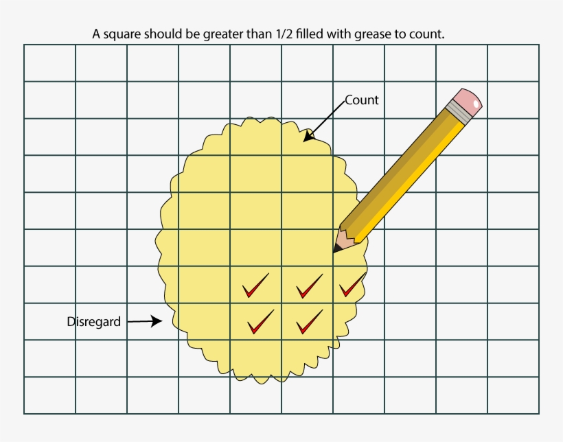 Potato Chip Diagram - Potato Chip, transparent png download