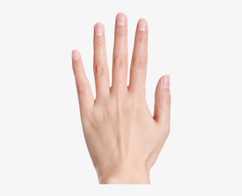 Strengthen Nails - Ring, transparent png download