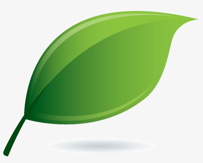 Estatements - Wallpaper, transparent png download