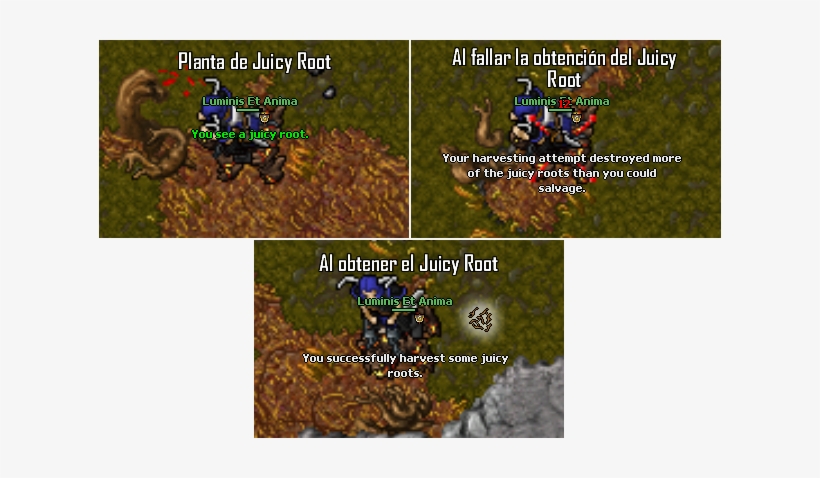 Oramond Q Plantas Jr2 - Plants, transparent png download