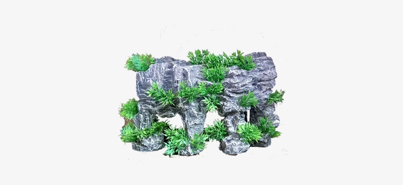 Pared Con Plantas 2 - Plantas De Pared Png, transparent png download