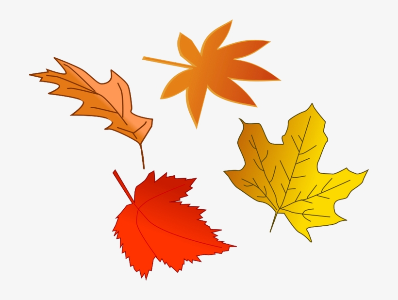 Fall - Leaves Clipart, transparent png download