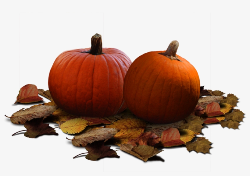 Pumpkin Patch Stock Png By Karahrobinson-art On Deviantart - Pumpkin, transparent png download