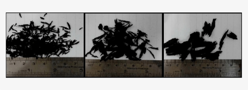 Optical Microscope Photos Of Tire Crumbs - Monochrome, transparent png download