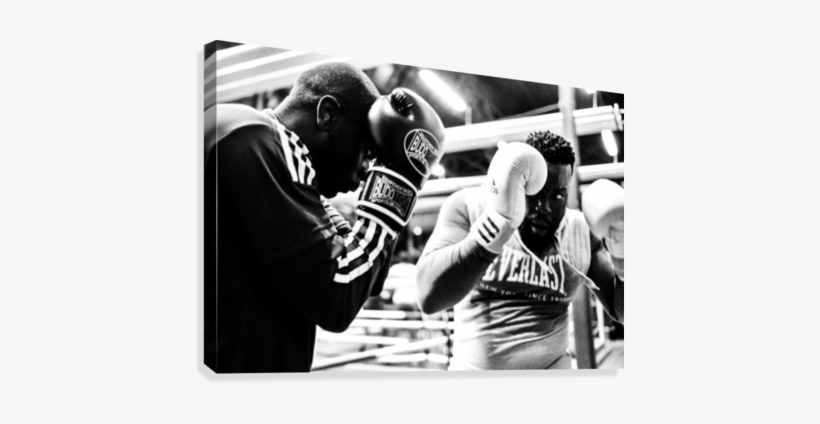 Boxing Canvas Print - Boxing, transparent png download