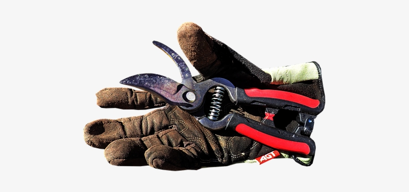 Gardening, Work, Glove, Equipment, Tools - Glove, transparent png download
