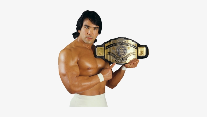 Apart From The War Between The Ultimate Warrior And - Wwe Ricky Steamboat: The Life Story, transparent png download