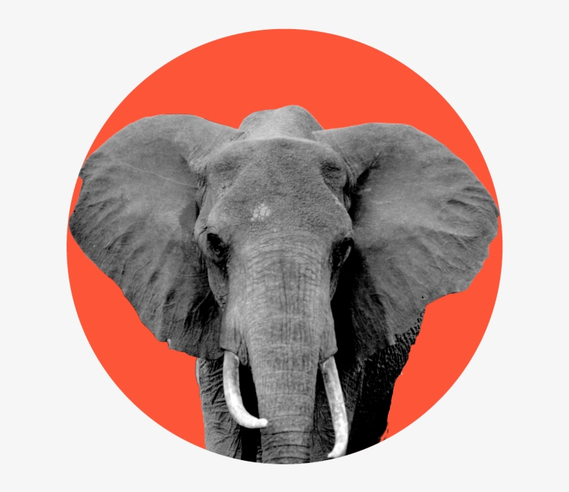 Republican 41% - Jpeg, transparent png download