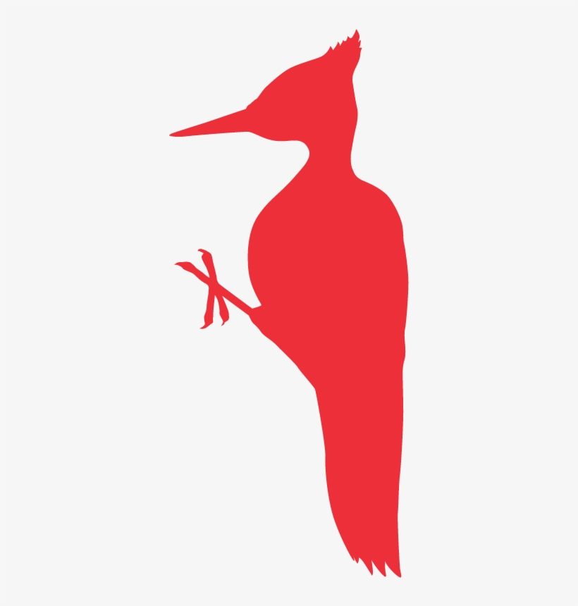 Bird-big - South Carolina State Fair, transparent png download