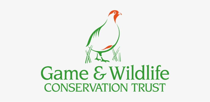 Game And Wildlife Conservation Trust 500px - Game And Wildlife Conservation Trust, transparent png download